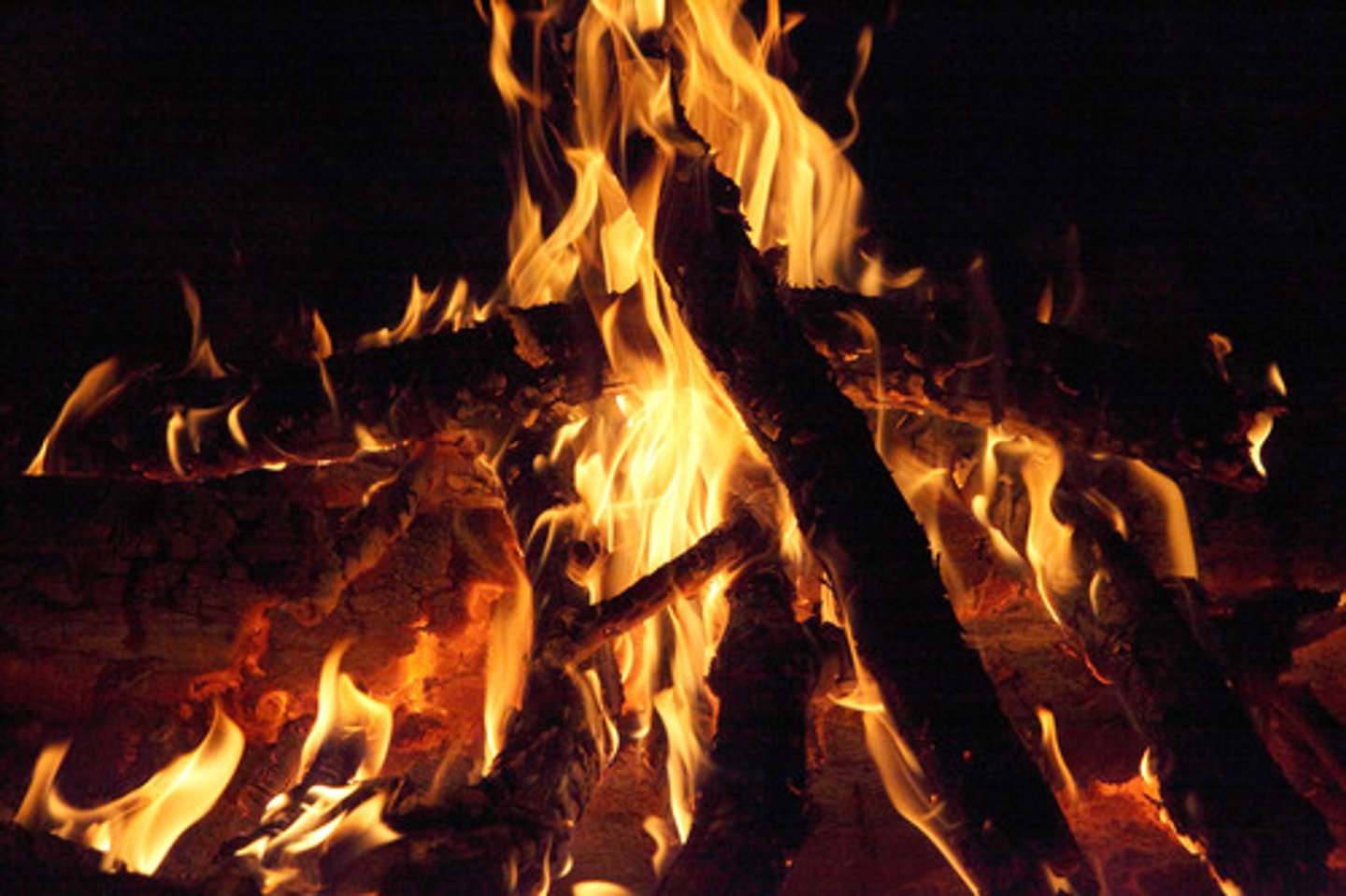 <p>Burning Wood in a Campfire</p>