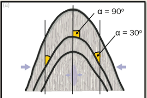 <ul><li><p>If cleavage forms at the same time with fold → the cleavage will form parallel to axial planes</p></li><li><p>If the cleavage is axial planar, you can measure the angle between the bedding and the cleavage to find where you on the fold</p><ul><li><p>fold hinge = 90 degrees</p></li><li><p>fold limb: &lt;90 degrees</p></li></ul></li></ul><p></p>