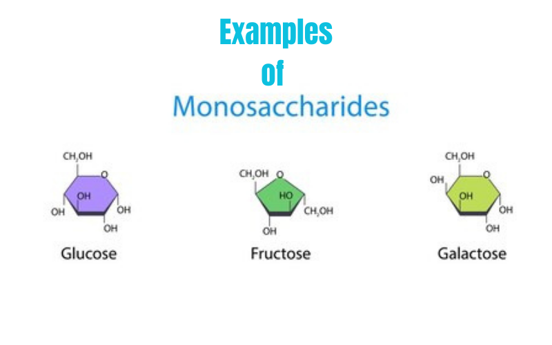 <p>Monosaccharides</p>