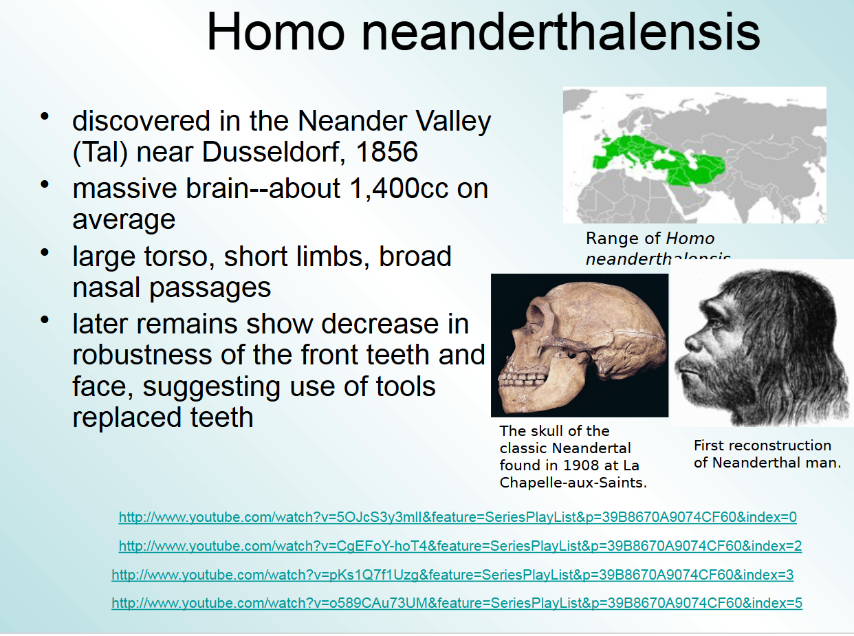 <p>neander valley</p>