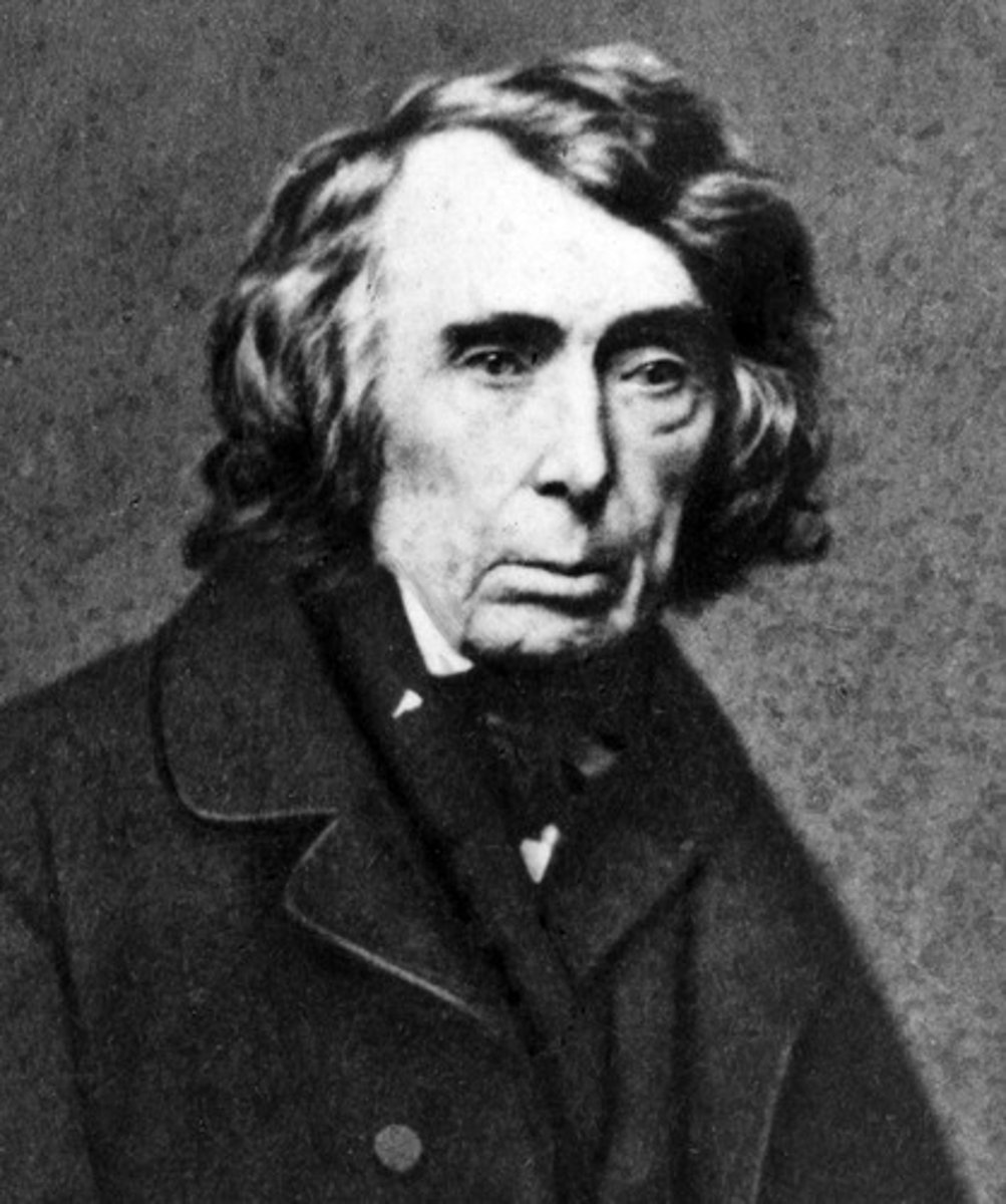 <p>Chief Justice Roger B. Taney delivered the majority opinion in the case; he ruled against Scott because, he claimed, African Americans were not citizens and therefore could not sue in the courts</p>