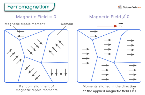 <p>Ferromagnetism</p>