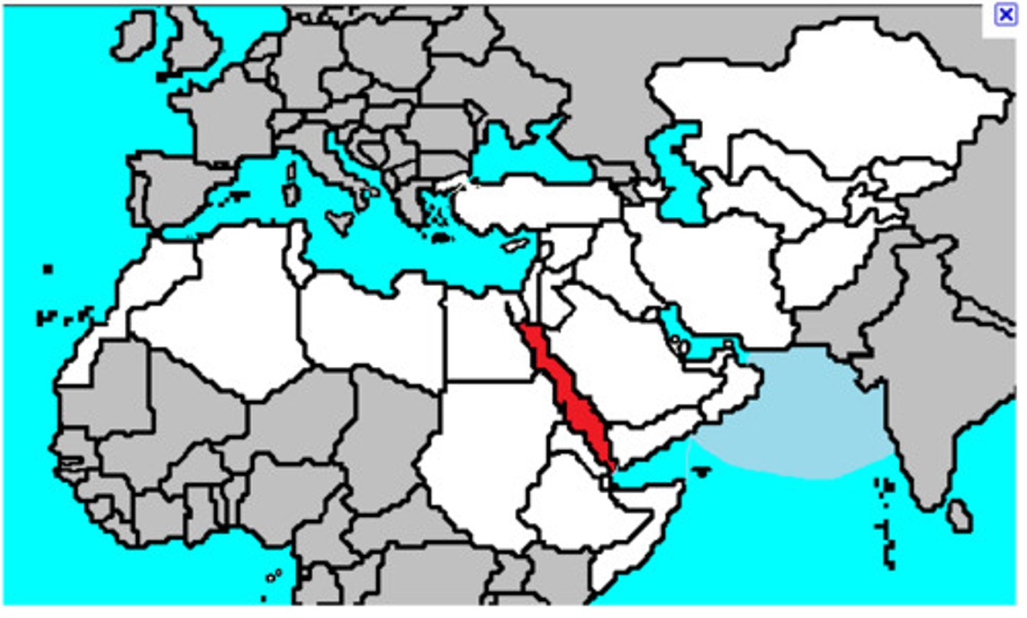 knowt flashcard image
