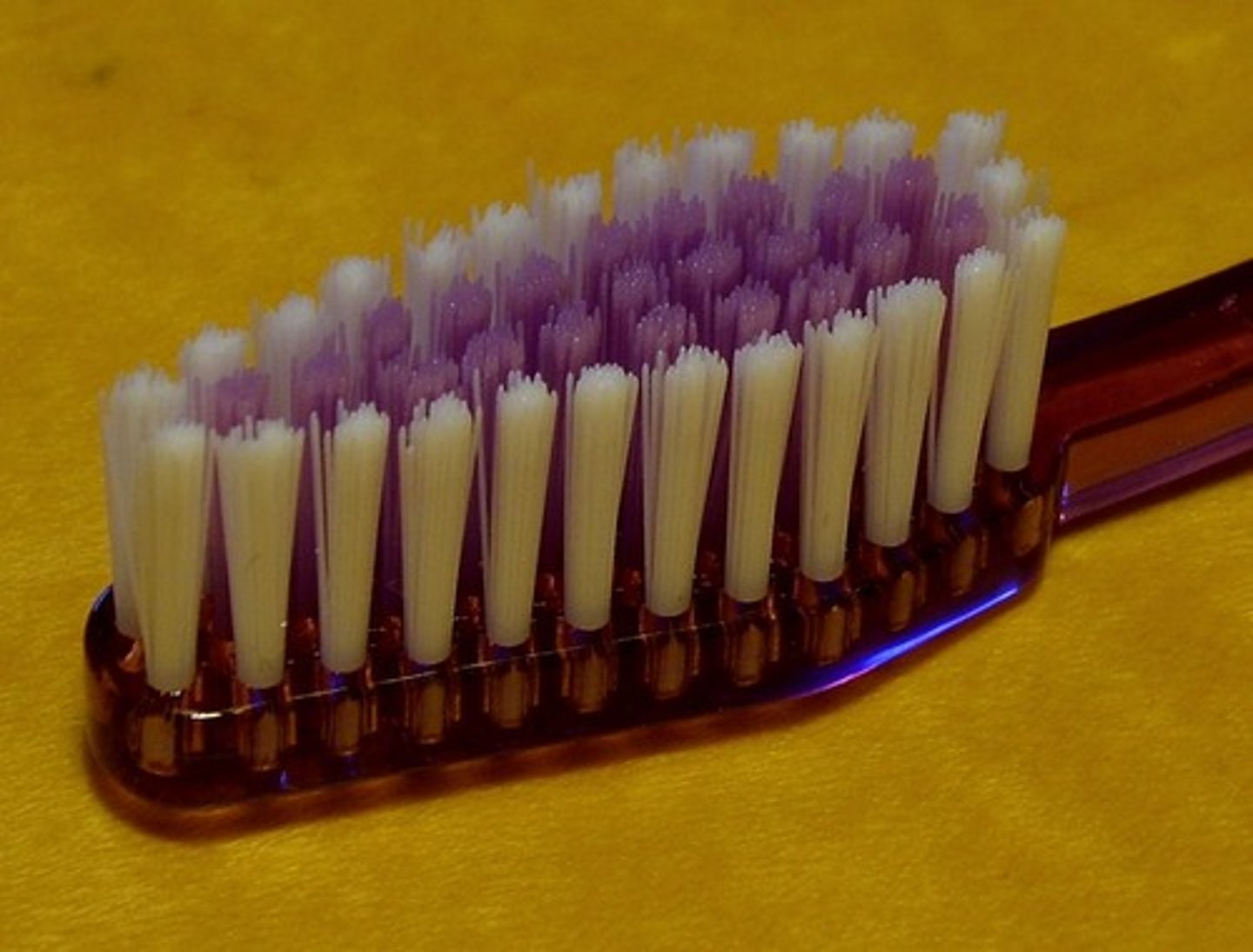 <p>a tooth brush</p>