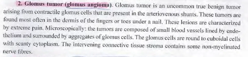 <p><strong>Glomus-tumor belongs to endothelial tumors.</strong></p><ul><li><p><strong>a) yes</strong></p><ul><li><p>glomus cells - present in atriovenosus shunts (mostly found in fingers or toe nail beds)</p></li><li><p>they arise from pericytes surrounding endothelial cells - so yes?</p></li></ul></li></ul><ul><li><p>b) no</p></li></ul><p></p>