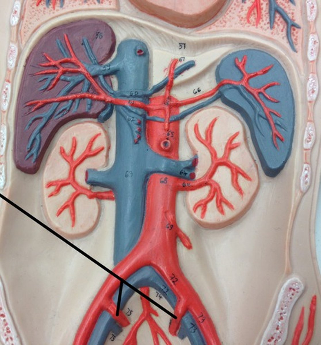 <p>What structure?</p>