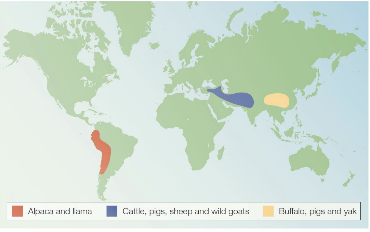 <p>Eurasia</p><p>WHY?</p><ul><li><p>answer below</p></li></ul><p></p>