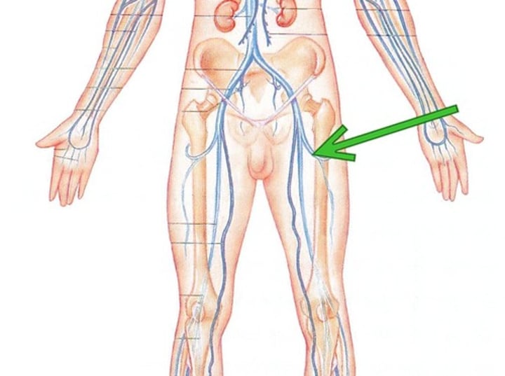 <p>IDENTIFY THIS NERVE</p>