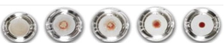 <p>circle 4 grade </p>
