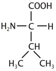 <p>Non-polar aliphatic</p>