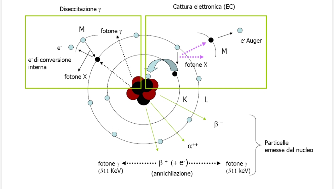 <p>i radioisotopi sono degli isotopi che emettono radioattività perché hanno uno bilanciamento nel rapporto neutroni/protoni, sono 36.</p>