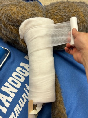 <p>What bandage layer is being applied </p>
