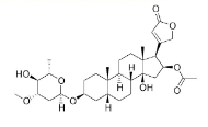 <ul><li><p>From Apocynaceae family</p></li><li><p>Contains Oleandrin</p><ul><li><p>Entire plant is toxic, dry and wet</p></li></ul></li></ul><p></p>