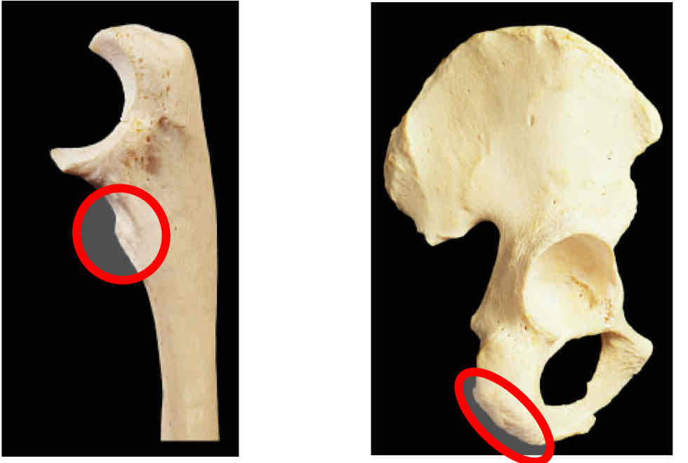 <p>Identify this </p>