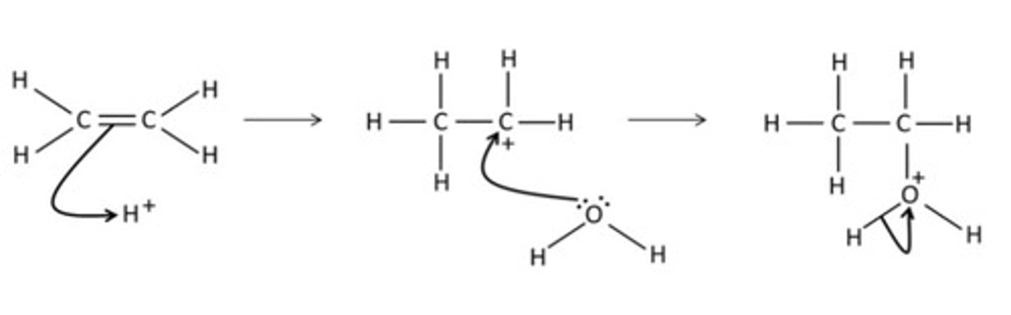 <p>Draw a mechanism for the addition of water to ethene</p>
