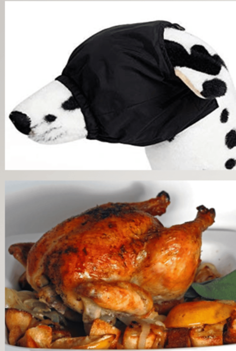 <p>what cranial nerve does this test?</p>