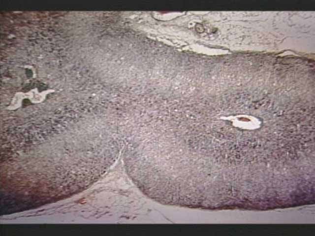 <p>What does this image depict?</p>