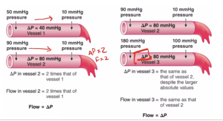 Pressure is the force exerted by blood on the blood vessels and pressure gradient is directly proportional to blood flow

\
Blood flows from an area of higher pressure (less space)  to an area of lower pressure (more space)

\
→ **Pressure gradients** are the **driving force** for moving blood forward through the vascular system (difference in pressure)

\
\
\
**Pressures throughout the Systemic Circulation**

Blood flows from high to low pressure

\
→ From the beginning, the pressure increase rapidly and decreases rapidly twice in the heart 

→ Pressure then continues to decrease from arteries, to capillaries, and finally veins

\
→ The line that goes down signifies the rate of blood flow gradually decreasing as pressure decreases

\
\
\
**Relationship of Flow to the Pressure Gradient in a Vessel**

The blood in any vessels always flow down the pressure gradient  

\
→ In the first blood vessel, blood flows from 50mmHg to 10mmHg; the change of pressure is 40mmHg whereas in the second blood vessle, blood flows from 90mmHg to 10mmHg; the change of pressure is 80mmHg

\
→ The pressure gradient in blood vessel #2 is 2 times greater than blood vessel #1 thus there is more flow of blood