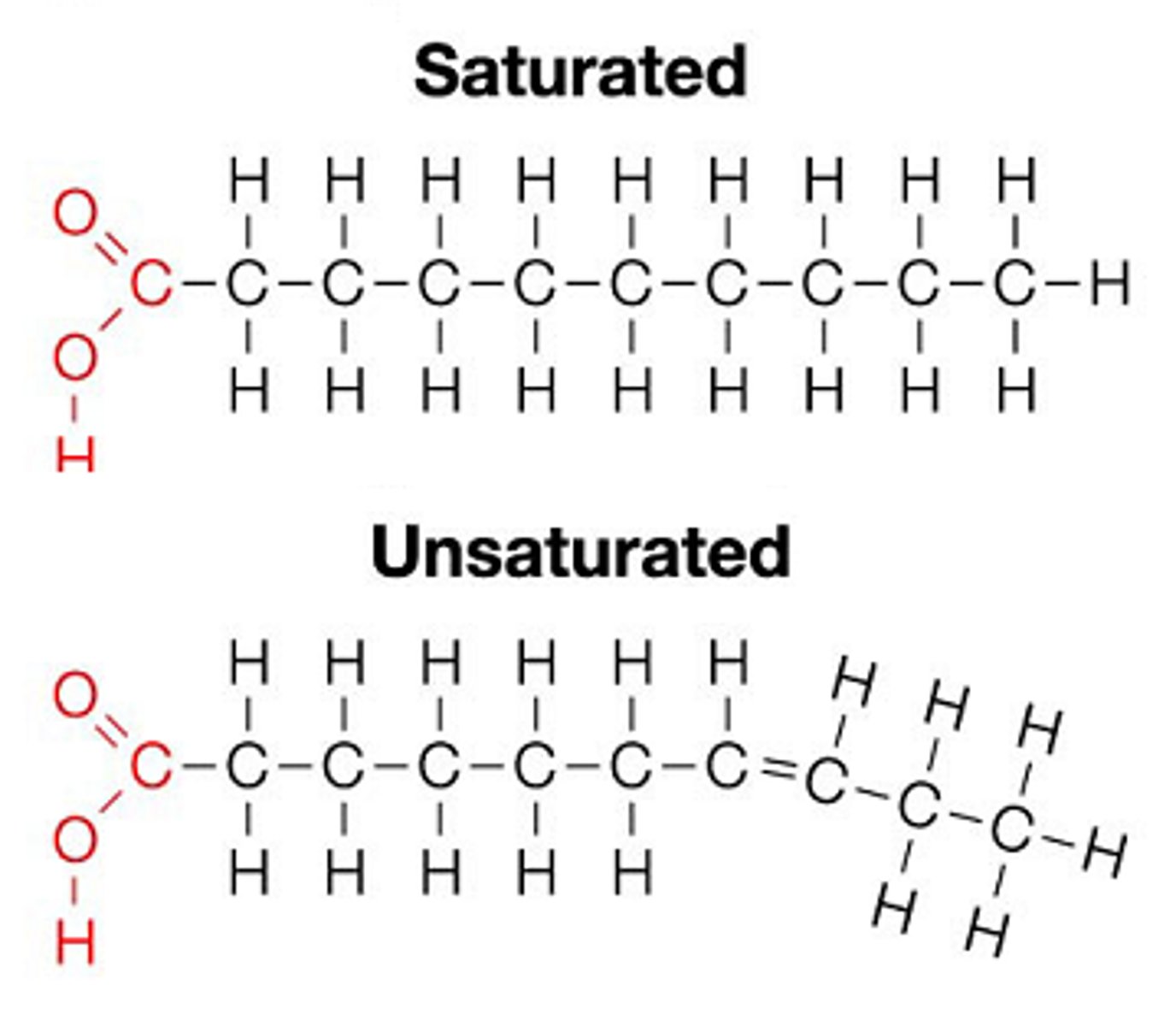 <p>- Usually contain even # of Cs</p><p>- Saturated (no double bonds) OR unsaturated (cis double bonds common)</p><p>- C1 & C2 fatty acids can be the same or different types</p>