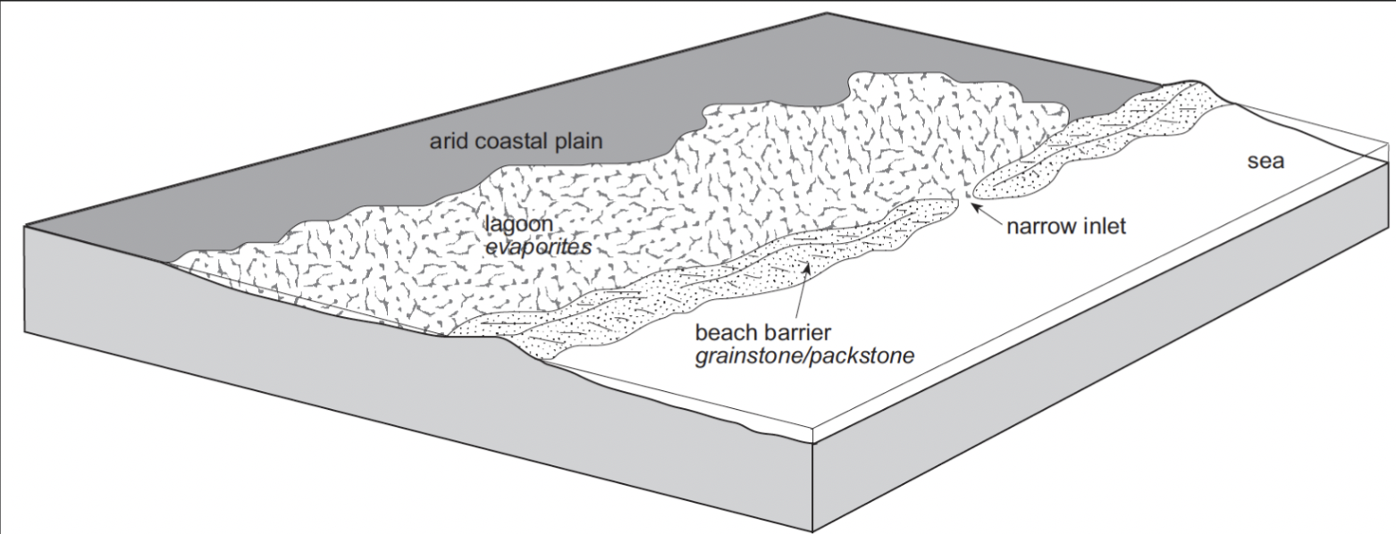 <ul><li><p>Restricted coastal regions like salinas and coastal sabkhas</p></li><li><p>Salinas (arid lagoons and salt pans) may precipitate layered gypsum and/or halite</p></li><li><p>Fluctuations in salinity will result in variations in precipitated minerals and occasional carbonate layers</p></li></ul>