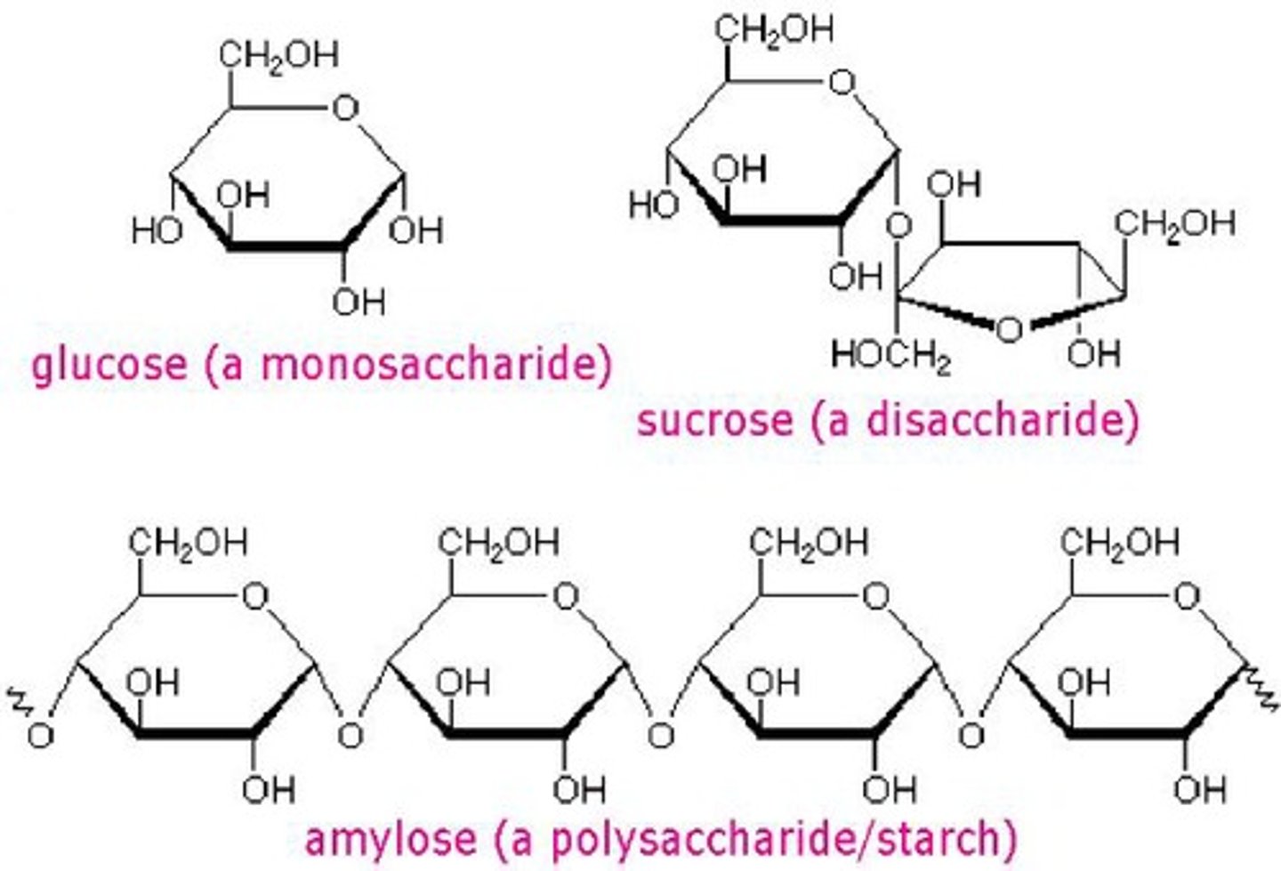 <p>utilized as a primary energy source for living things</p>