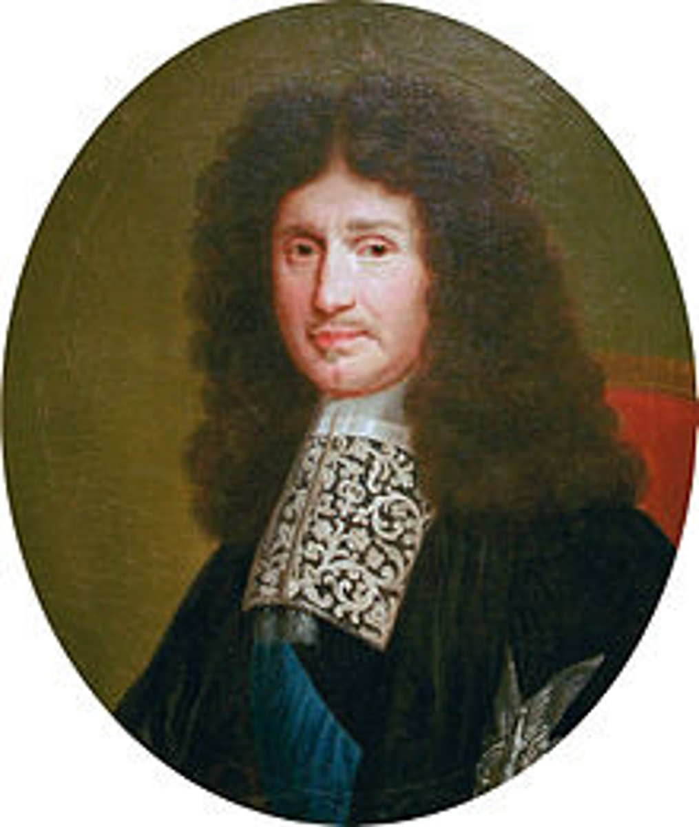 <p>An adviser to Louis XIV who proved himself a financial genius and managed the entire royal administration. Proposed mercantilism as the best policy for the economy.</p>