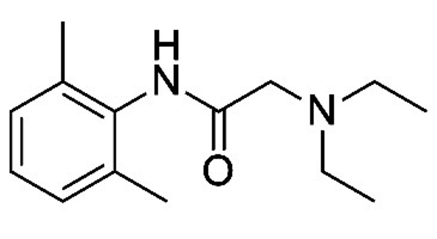 <p>Lidocaine</p>