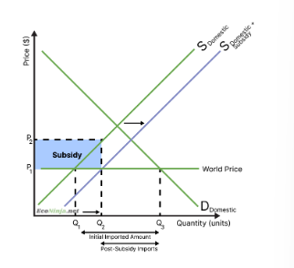 <p><span><strong><em>Before</em></strong><em> subsidy:</em></span></p><ul><li><p class="zfr3Q CDt4Ke " style="text-align: left"><span><em>Domestic producers produce at Q1, because price is at P1</em></span></p></li><li><p class="zfr3Q CDt4Ke " style="text-align: left"><span><em>Consumers consume at Q3, because price is at P1</em></span></p></li><li><p class="zfr3Q CDt4Ke " style="text-align: left"><span><em>Hence, the rest is imported (Q1 &lt;-&gt; Q3)</em></span></p></li></ul><p class="zfr3Q CDt4Ke " style="text-align: left"><span><strong><em>After</em></strong><em> subsidy:</em></span></p><ul><li><p class="zfr3Q CDt4Ke " style="text-align: left"><span><em>Domestic producers get a subsidy of P1 &lt;-&gt; P2, so they produce as if the price is P2, so at Q2</em></span></p></li><li><p class="zfr3Q CDt4Ke " style="text-align: left"><span><em>Domestic consumers still get the price of P1, so they still consume at Q3</em></span></p></li><li><p class="zfr3Q CDt4Ke " style="text-align: left"><span><em>Hence, the new imported amount is Q2 &lt;-&gt; Q3</em></span></p></li></ul><p></p>