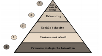 <p>Onderscheidt 5 niveaus:</p><ol><li><p>Fysiologische behoefte</p></li><li><p>Behoefte aan veiligheid</p></li><li><p>Sociale behoefte</p></li><li><p>Behoefte aan erkenning</p></li><li><p>Behoefte aan zelfverwerkelijking</p></li></ol>