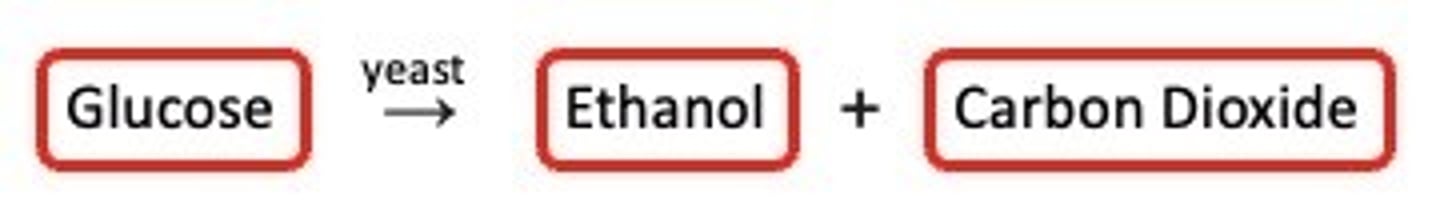 <p>C6H12O6 → 2 C2H5OH + 2 CO2</p>