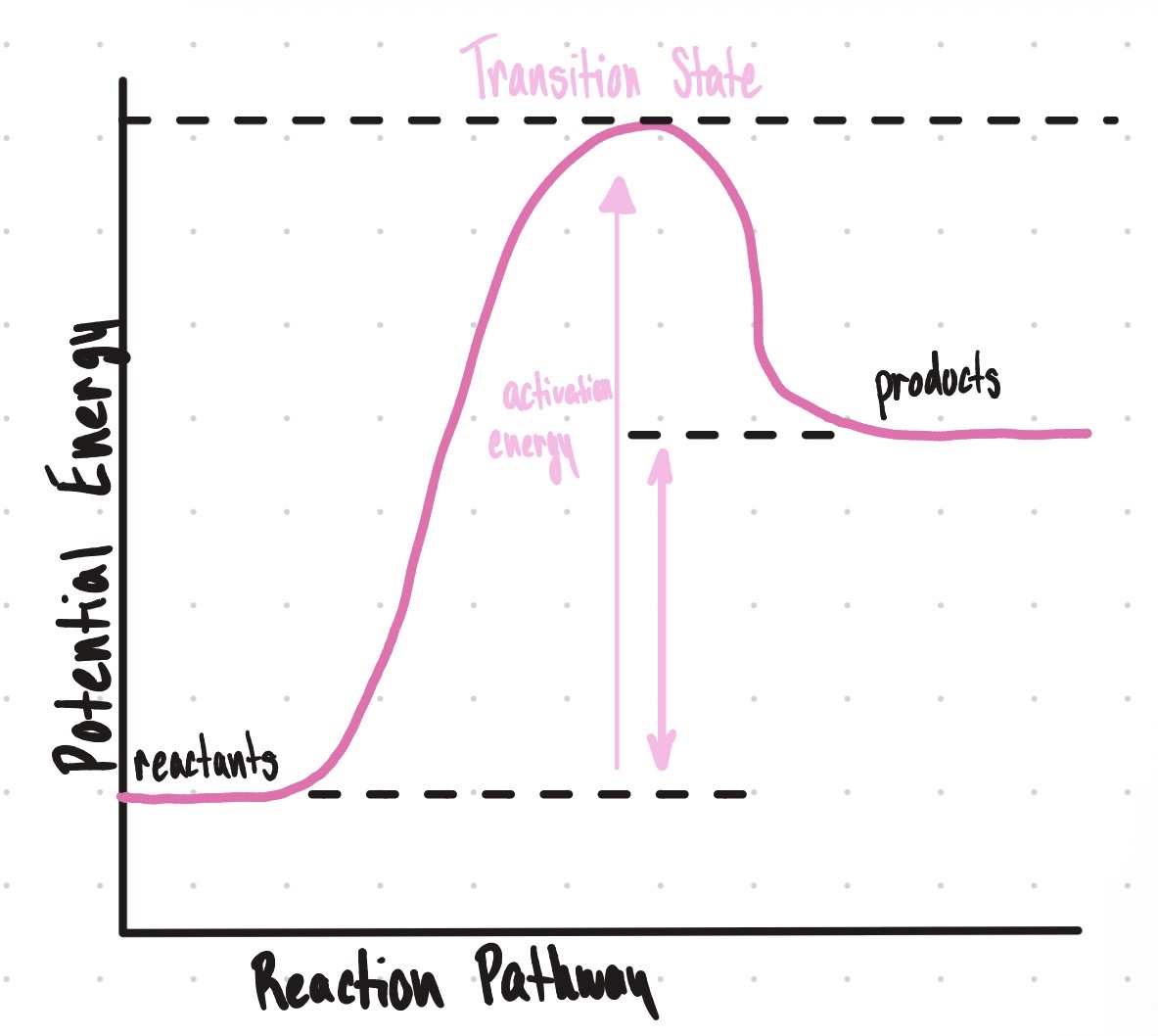 <p>Is this an endothermic or exothermic reaction?</p>