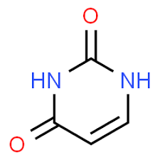 <p>what is this nitrogen base </p>