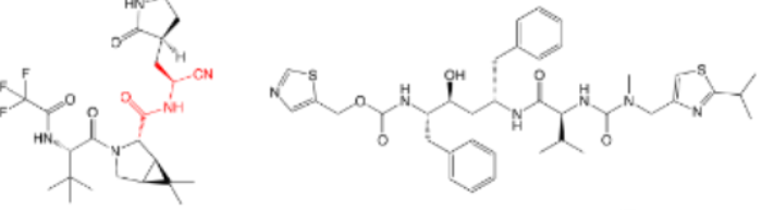 <p><span><span>which is on the left and which is on the right?</span></span></p>