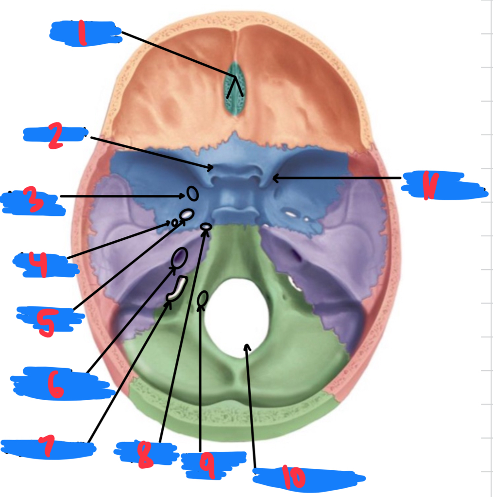 <p>9</p>