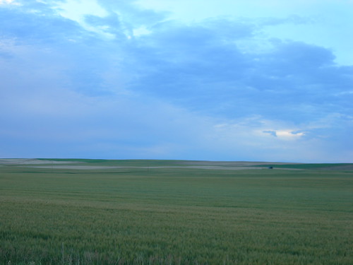 <p>a large area of flat land</p>