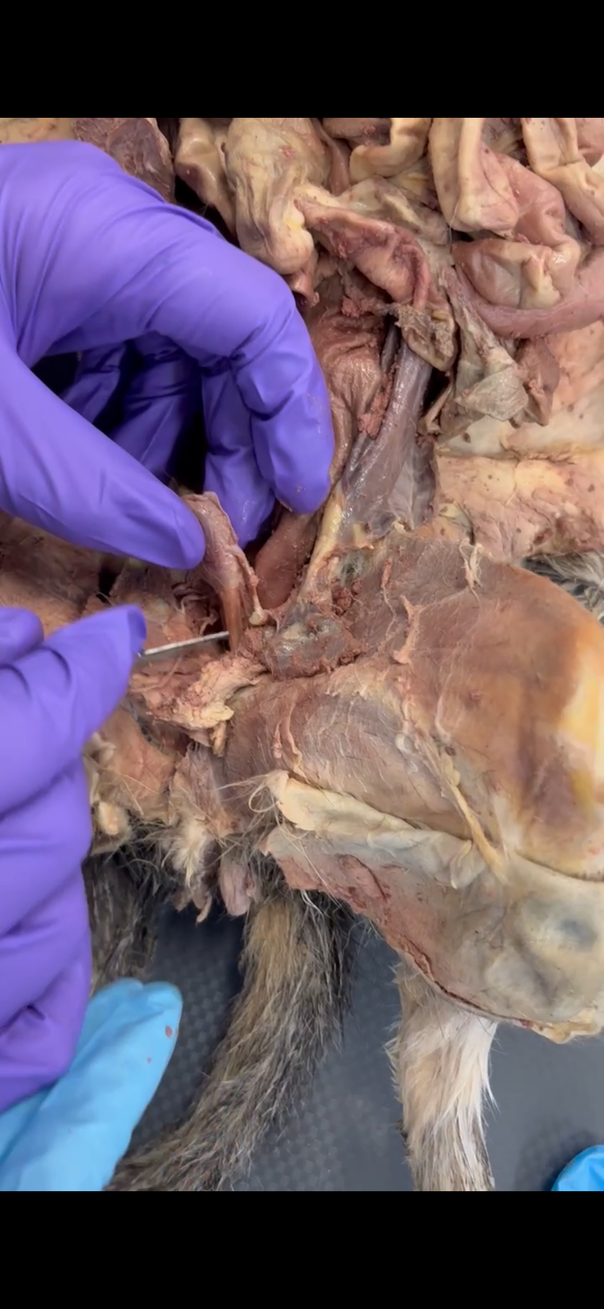 <p>Pointer is pointing to </p>