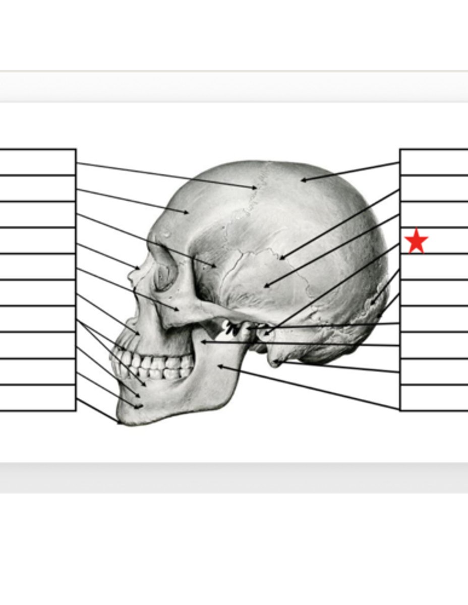 <p>What is this?</p>