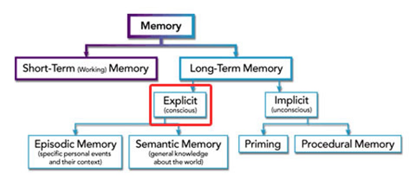 <p>memory of facts and experiences that one can consciously know and "declare." (Also called declarative memory.)</p>