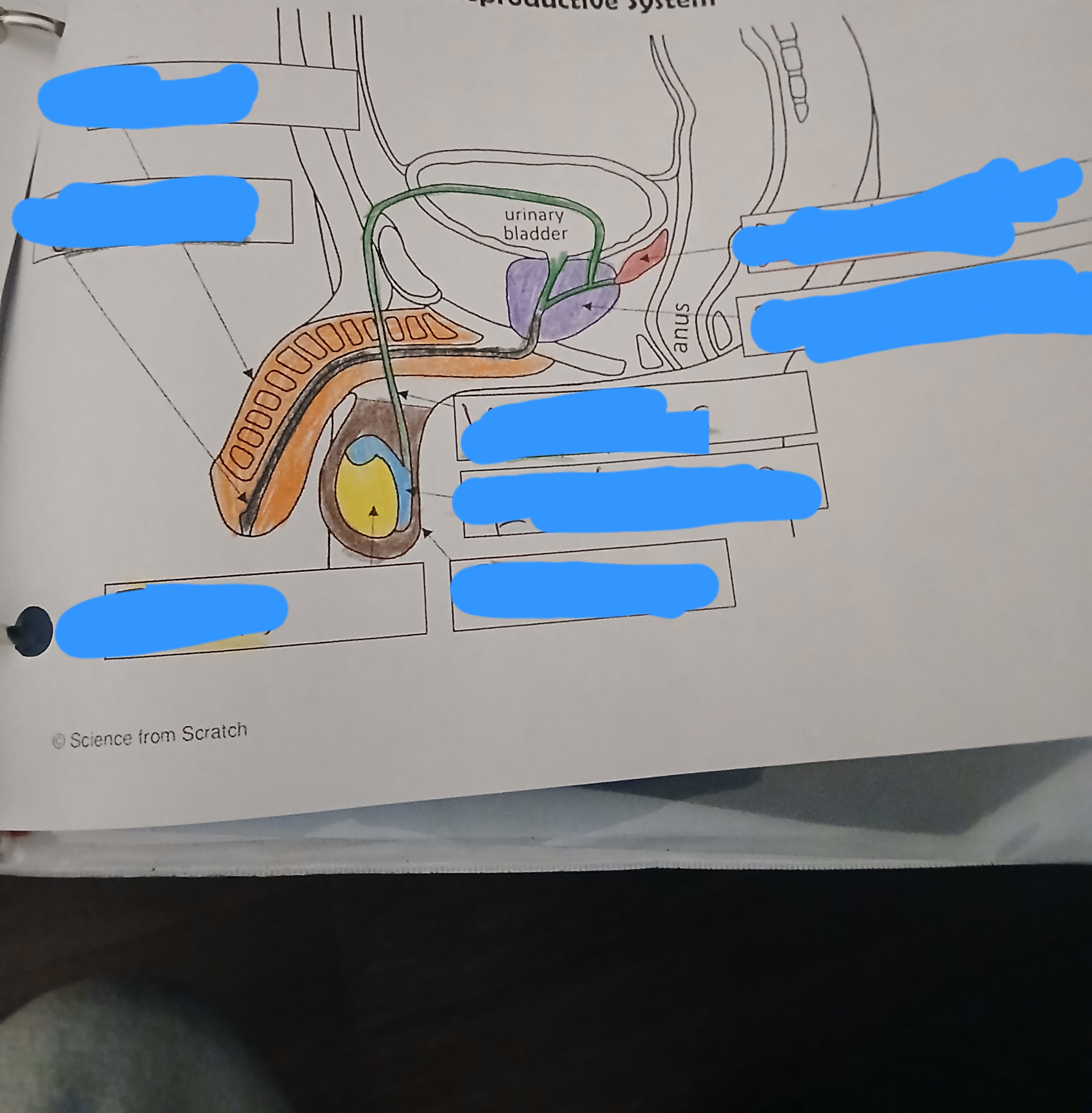 <p>What is the BROWN part?</p>