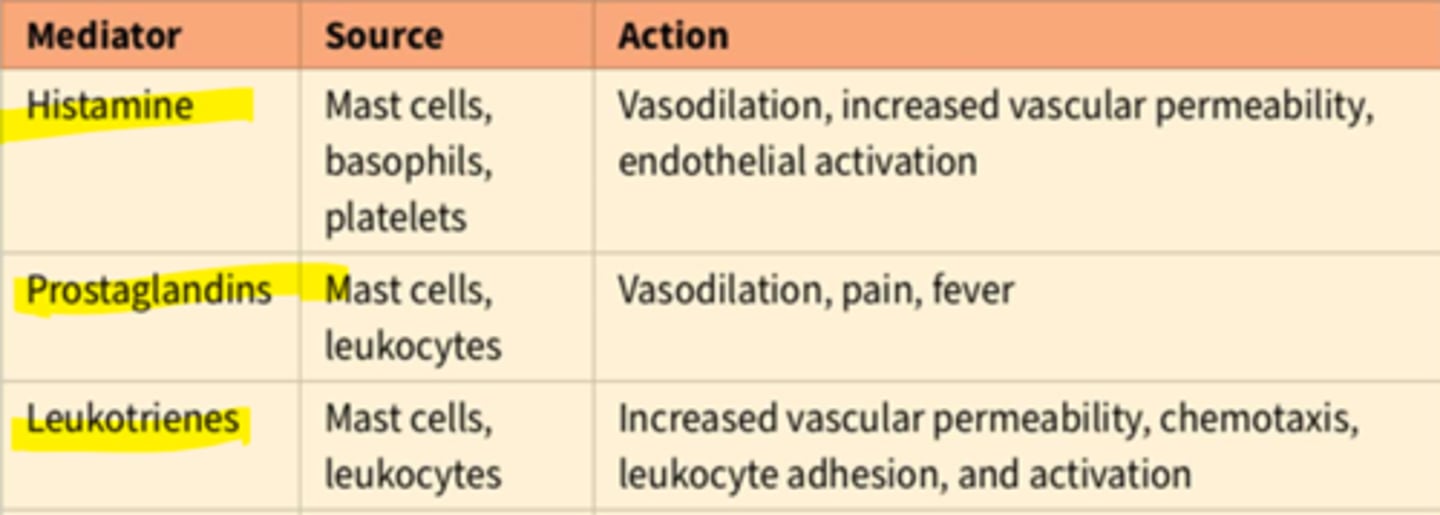 <p>promotes wakefulness from the tuberomammillary nucleus.</p>