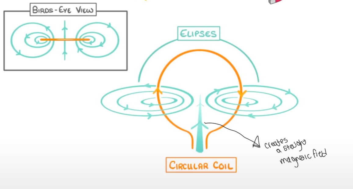 knowt flashcard image