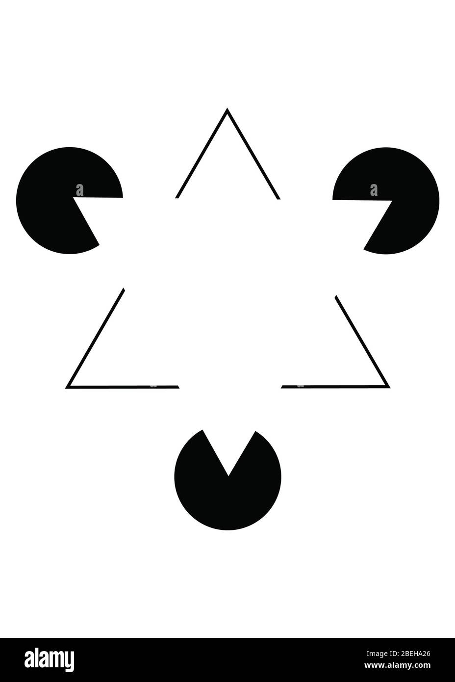 <p>Ambiguity- when there’s <strong>more than one possible interpretations of the same image</strong>. E.g: duck-rabbit picture</p><p>Fiction- when something in the image is <u>perceived</u> <strong>although it isn’t there</strong>. E.g: Kanizsa triangles (the contour lines make it seem as though there are two triangles overlapping eachother)</p>