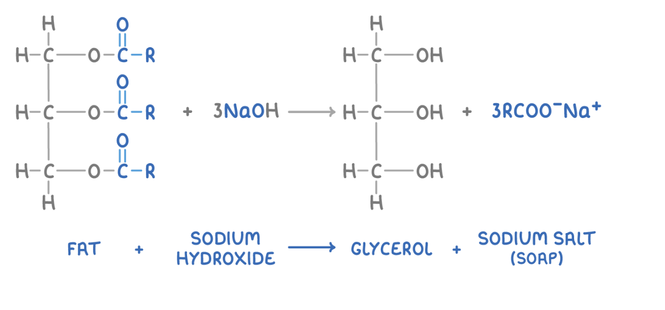 <p>making soap (saponification) - reacting a lipid w/ a strong base forms salts of the fatty acids</p>