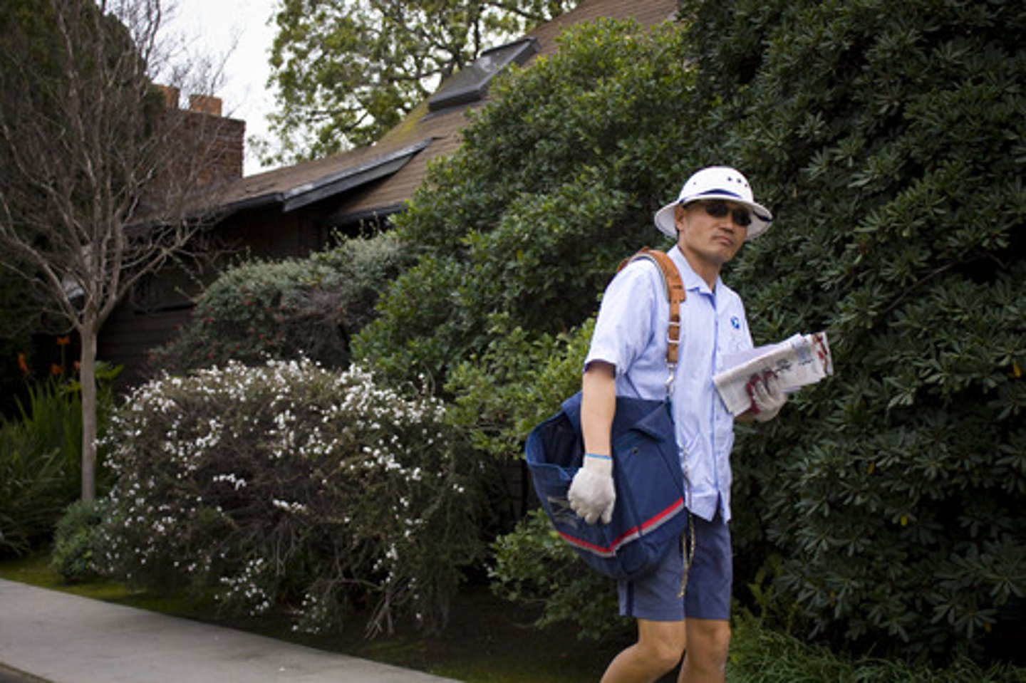 <p>mail carrier</p>
