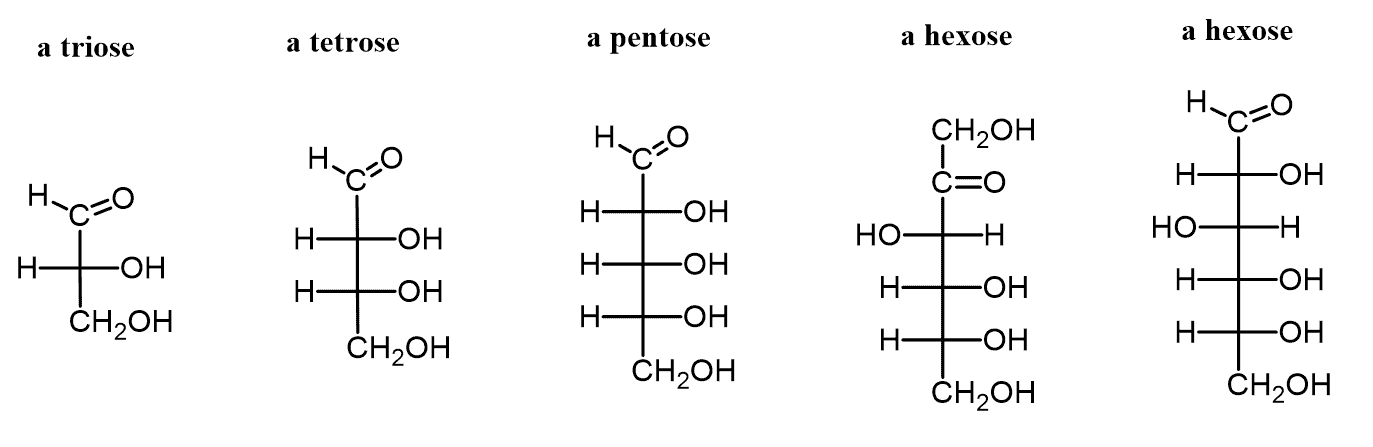 <p>how are monosaccharides classified?</p>