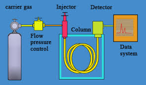 <p>polarity and boiling point</p><ul><li><p>the stationary phase is a thin layer of material applied to the inside of the column </p></li><li><p>typically the polarity if the stationary phase matches that of the solute </p></li><li><p>the mobile phase is an entry gase </p></li></ul><p></p>