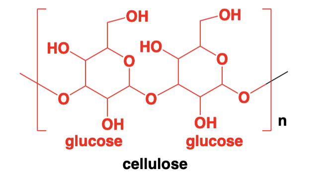 <p>Longer polymers of monosaccharides</p>