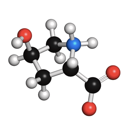<p><span style="font-family: LatoWeb, Lato, Helvetica Neue, Helvetica, Arial, sans-serif">Which amino acid is this?</span></p>