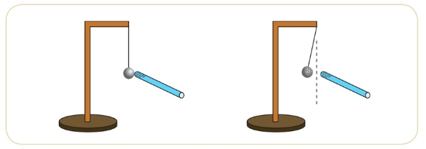 <p>rod is <strong>negatively charged</strong>, so the ball will Aquire the same charge (<strong>negative</strong>) so they will both<strong> <span style="color: red">repel each other</span></strong></p><p>Same result if we have a positive rod</p>
