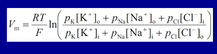 <p>The Goldman-Hodgkin-Kats (GHK) equation takes into account what variables:</p>